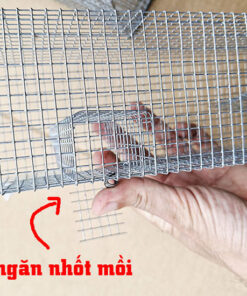 bẫy rắn mối có ngăn nhốt mồi riêng