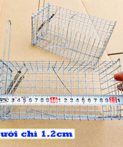 bán bẫy chuột cống nhum