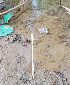 cần cắm câu ếch cách sử dụng