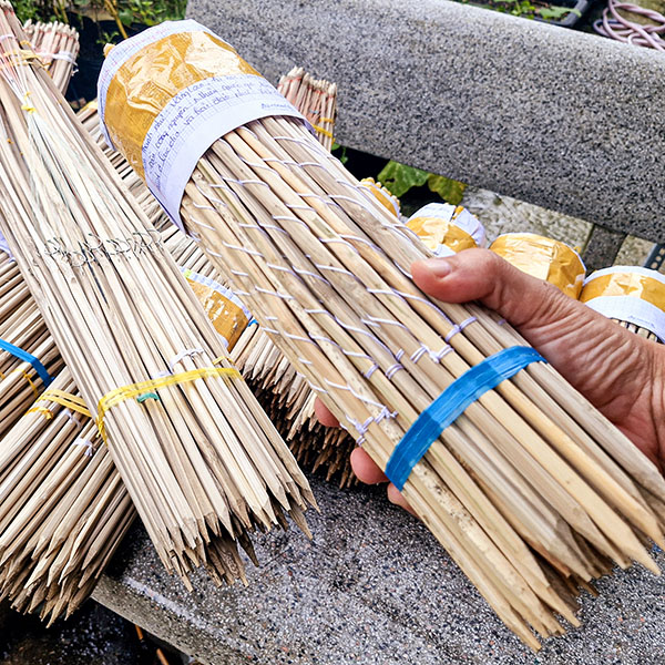 cần cắm câu ếch - câu nọc