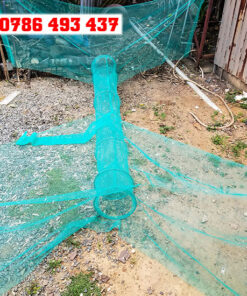 dớn bắt cá 2 đầu vào, giao hàng toàn quốc