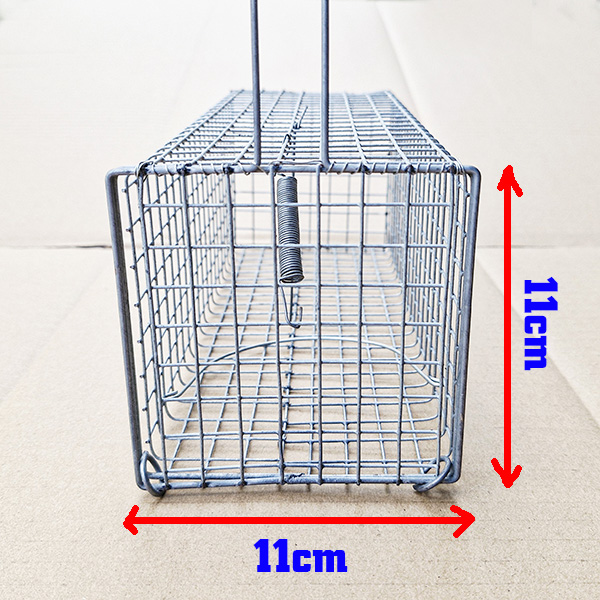 lồng bẫy chuột cống