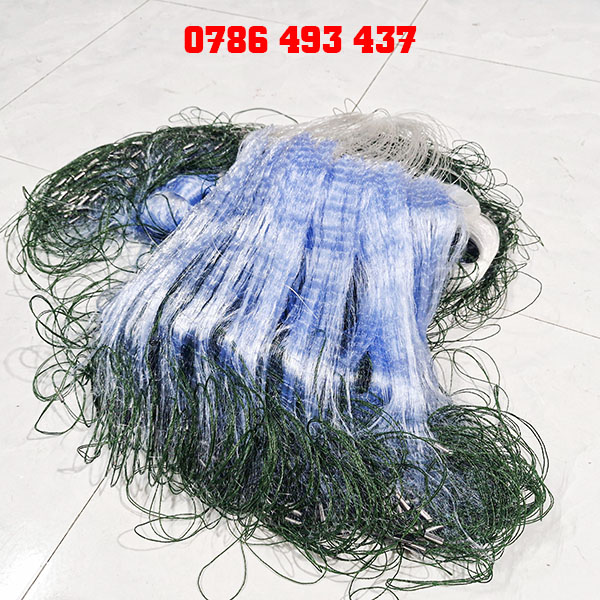 bán lưới cá chạch loại tốt