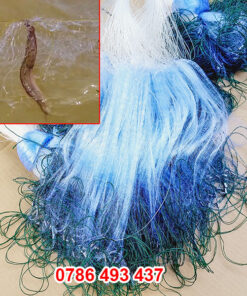 bán lưới cá chạch, giao hàng toàn quốc