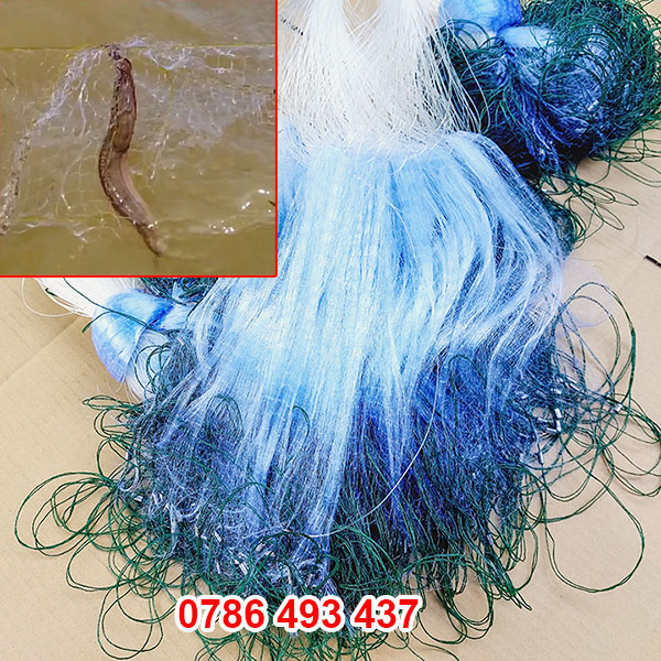 bán lưới cá chạch, giao hàng toàn quốc