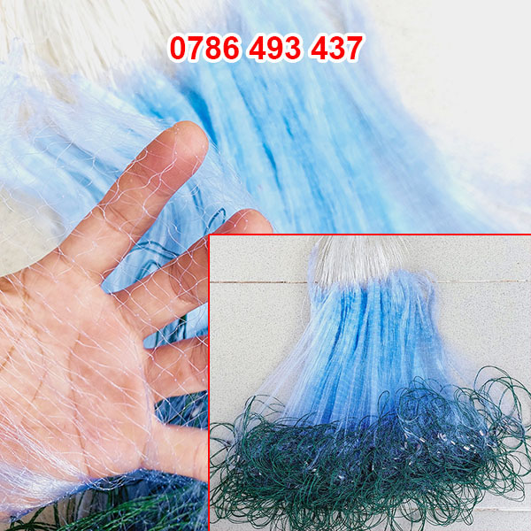 lưới cá chạch, lưới cá 1 màn