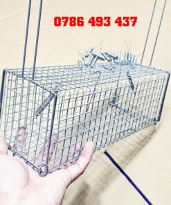 bẫy chuột cống nhum 2 cửa vào