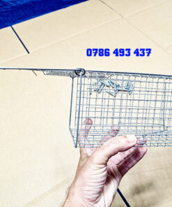 bẫy chuột cống nhum loại tốt