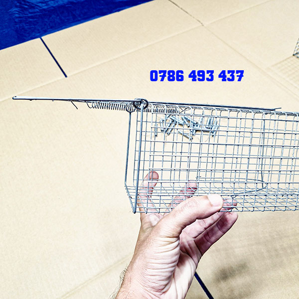 bẫy chuột cống nhum loại tốt