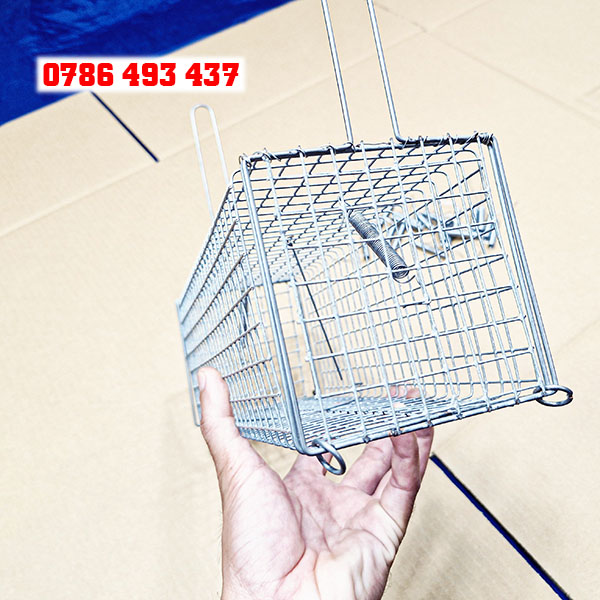 bẫy chuột cống nhum hiệu quả