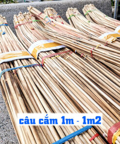 cần câu cắm cá lóc làm bằng tre gai