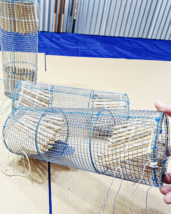 bẫy ếch 2 đầu giao hàng toàn quốc